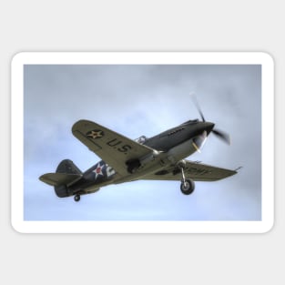 Curtis P40-B Warhawk Sticker